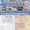 イオン×冷凍食品メーカー・アイスメーカー「イオンフローズンキャンペーン」2020/11/30〆
